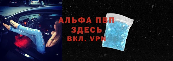 гидра Магас