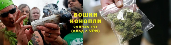 гидра Магас