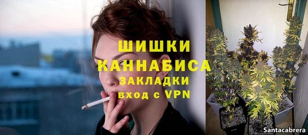 мяу мяу мука Алагир